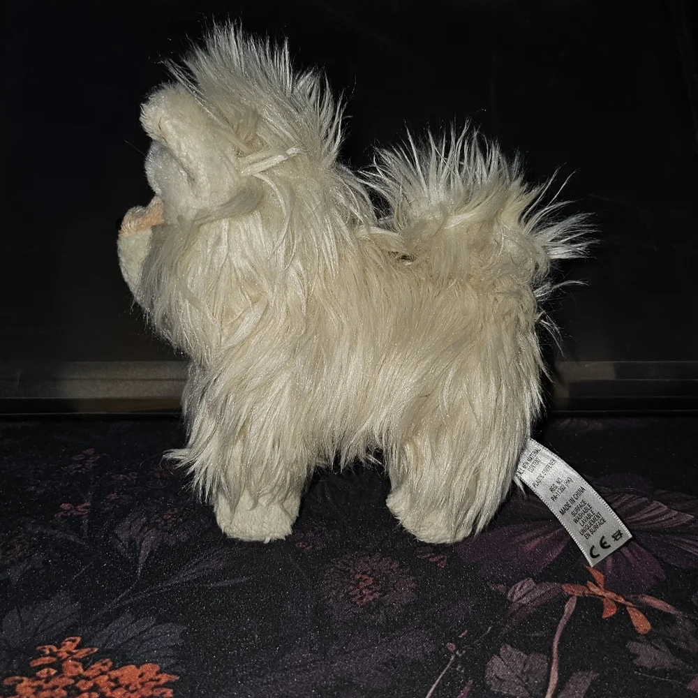 Coconut - Picture 4 of 8